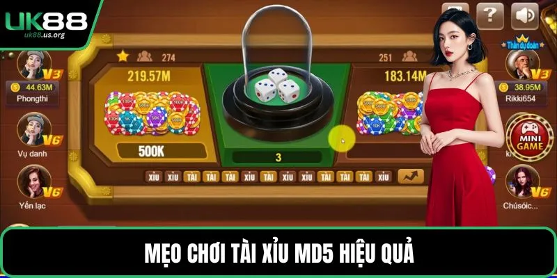 Mẹo chơi tài xỉu MD5 hiệu quả